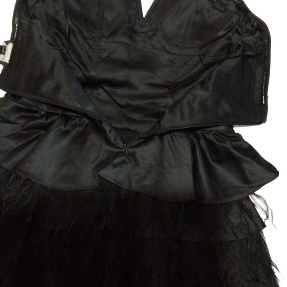 Mini Lace Black Feathers Taffeta Dress Size XXS B - Picture 6 of 8